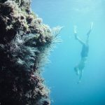 Snorkel en cala Gasparet