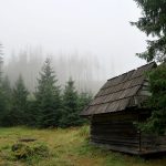 Cabaña de pastores en Olczyska Polana (Montes Tatras)