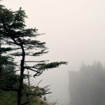 Bajo la niebla en los Tatras