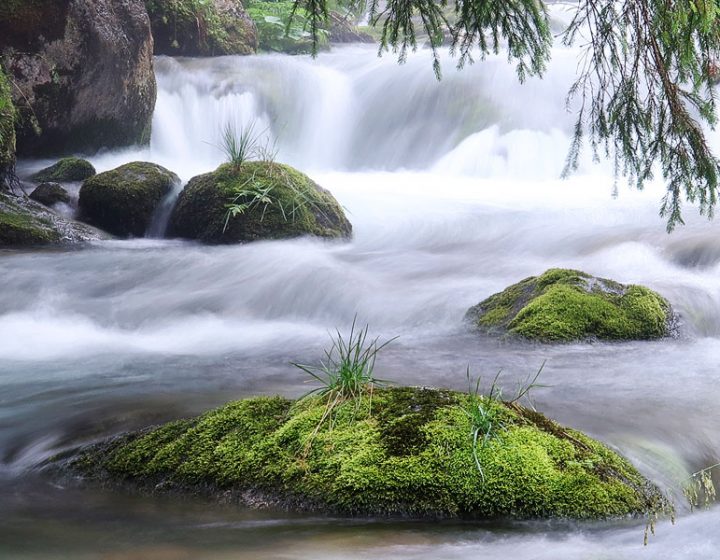 Arroyo en los Montes Tatras