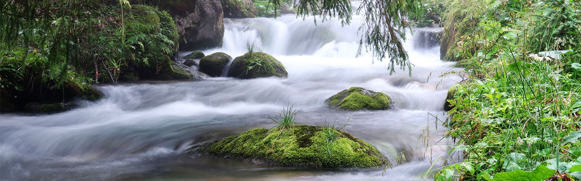 Arroyo en los Montes Tatras