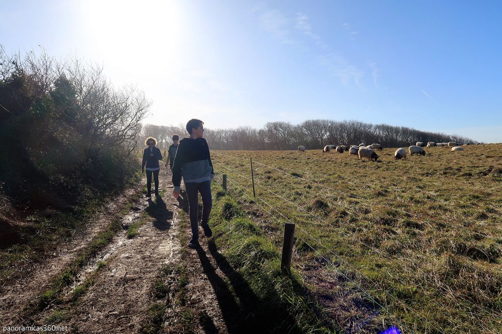 Ruta de senderismo en Domaine d'Abbadia