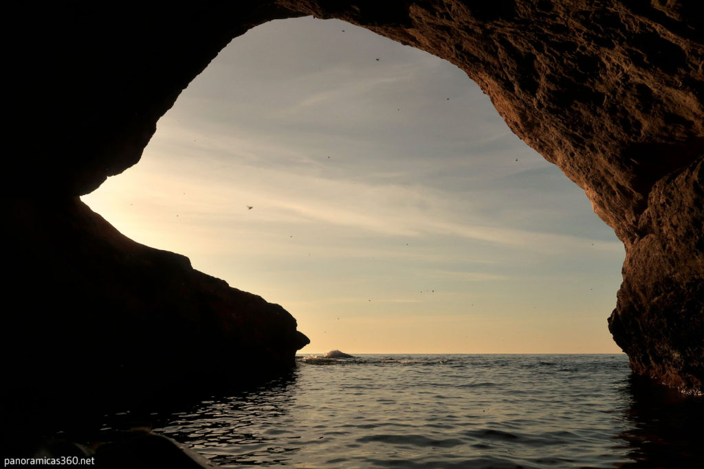 Cova del Llop Marí de El Campello