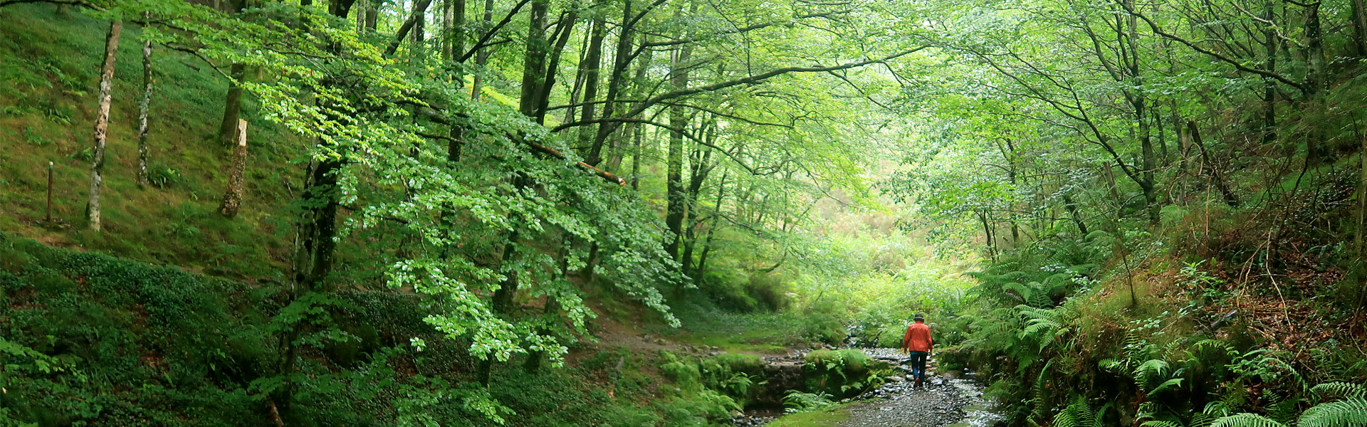 Caminando por la senda local SL-GI 1007 durante nuestra ruta de senderismo en las minas de Arditurri