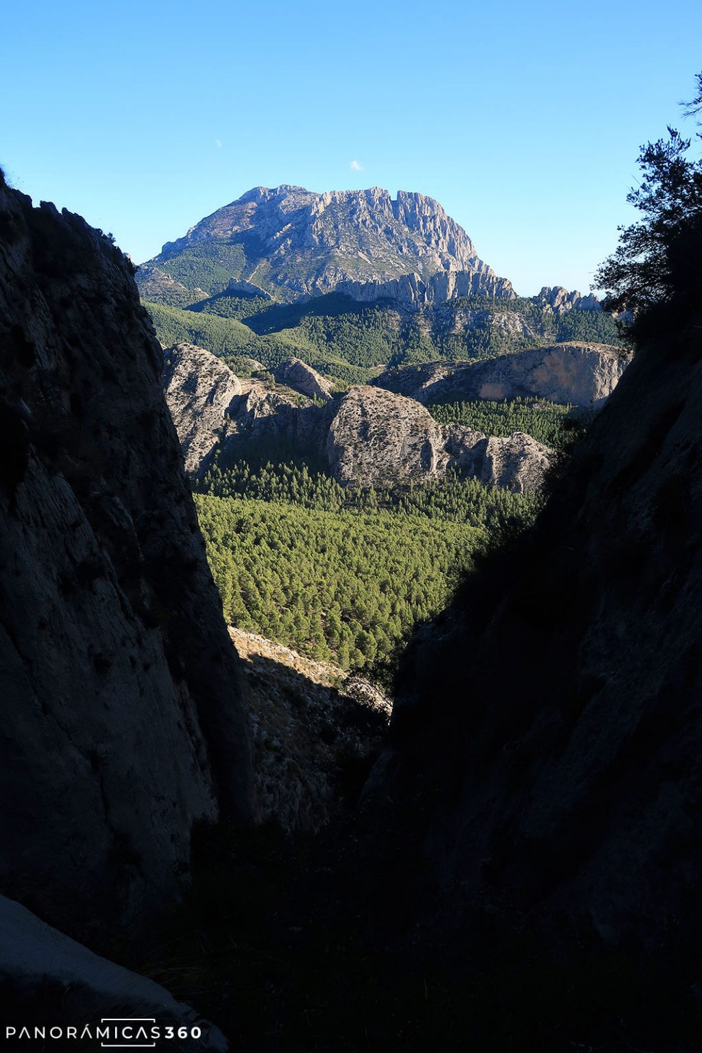 Puig Campana desde el barranc de les Perxes o barranco del Divino