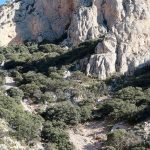 Excursionistas subiendo al Puig Campana por el Carreró (la pedrera)