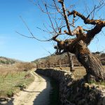 GR-330 a su paso por els Plans de Alaiat