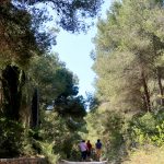 Senderistas caminando hacia los molinos de la Plana