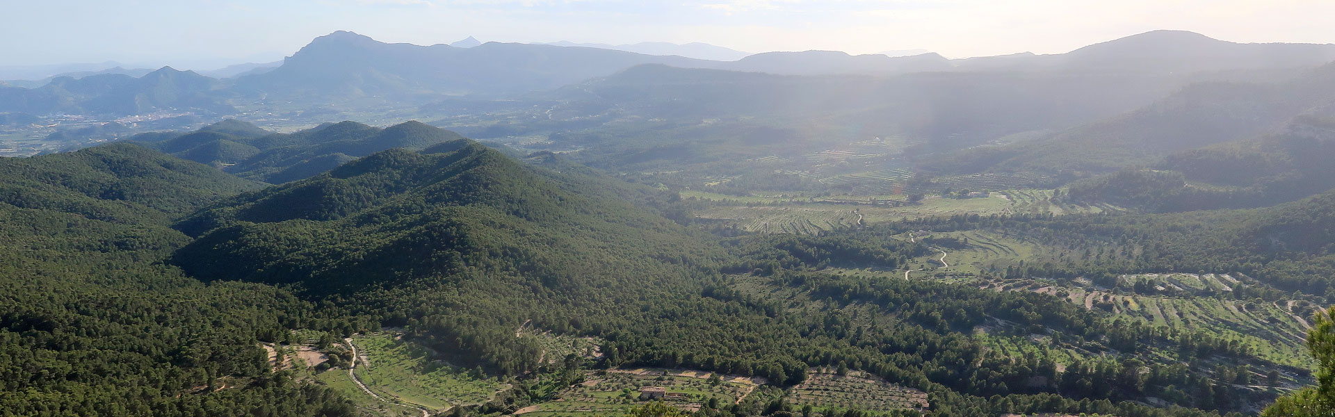 Barranc de l'Osco, Llentiscar y Migjorn detrás