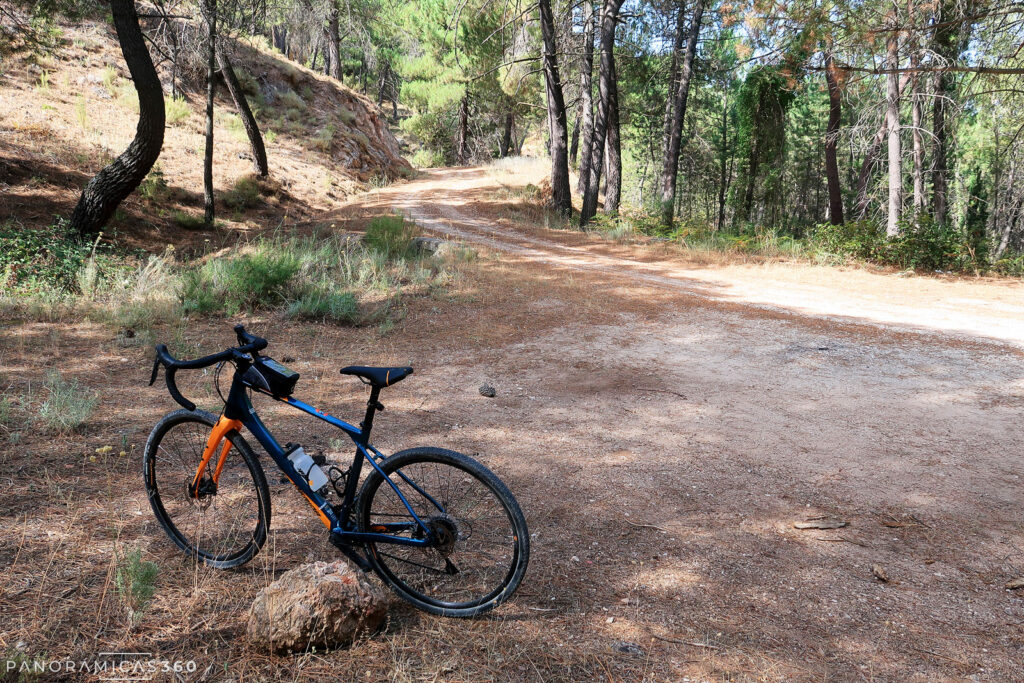 Pista forestal de tierra en la Sierra de Segura por donde discurre esta bonita ruta de bicicleta gravel