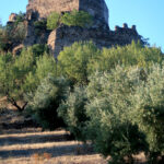 Castillo de la Espinareda