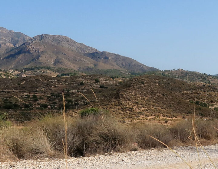 En gravel por los caminos de l'Alacantí