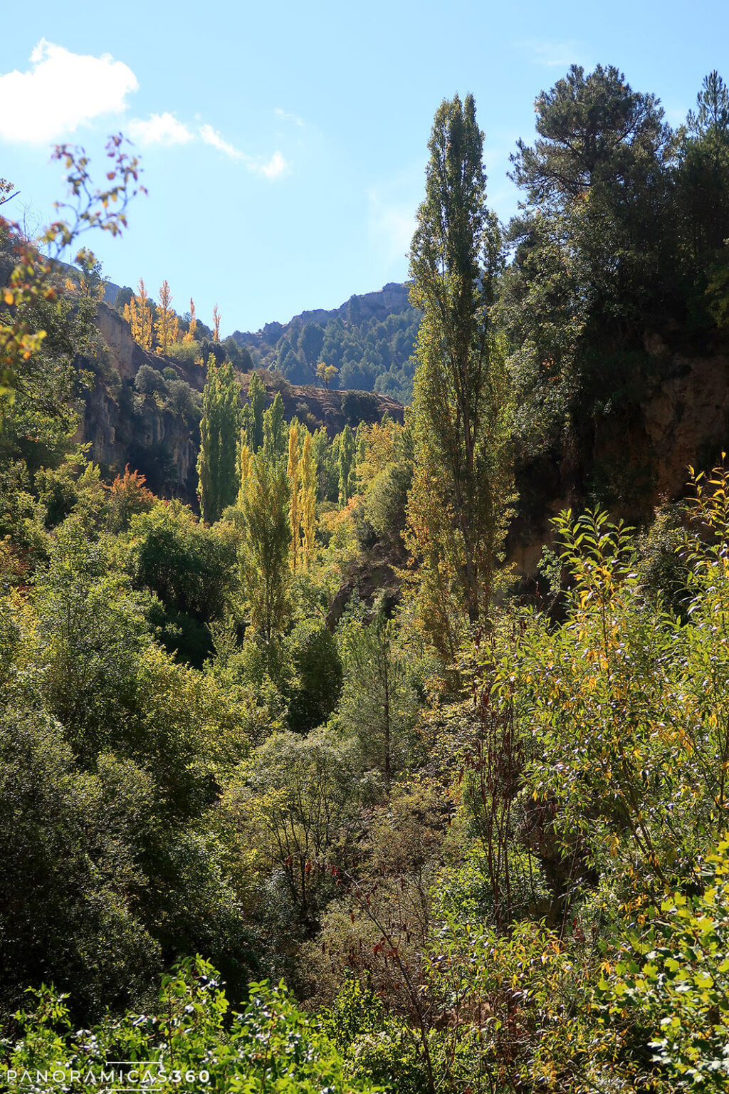 Frondosa vegetación en la ribera del río Segura