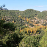 Vega en el Valle de Los Anchos con la aldea de Prado Maguillo