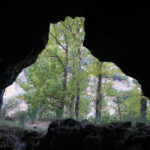 Cueva horadada en las paredes del cañón del Segura