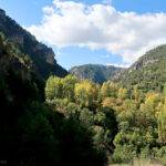 Huertas y terrazas en el cañón del río Segura