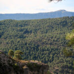 Sierra de Segura. El pico del Yelmo al fondo