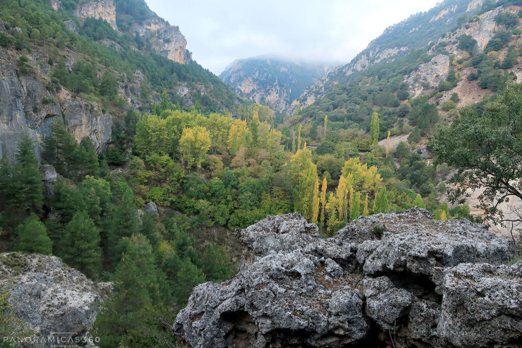 Huertas y terrazas en el valle del río Segura
