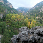 Huertas y terrazas en el valle del río Segura