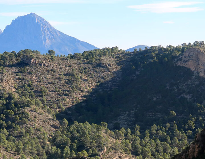 Ginebral en primer plano. Puig Campana, Ponoig y Sanxet detrás