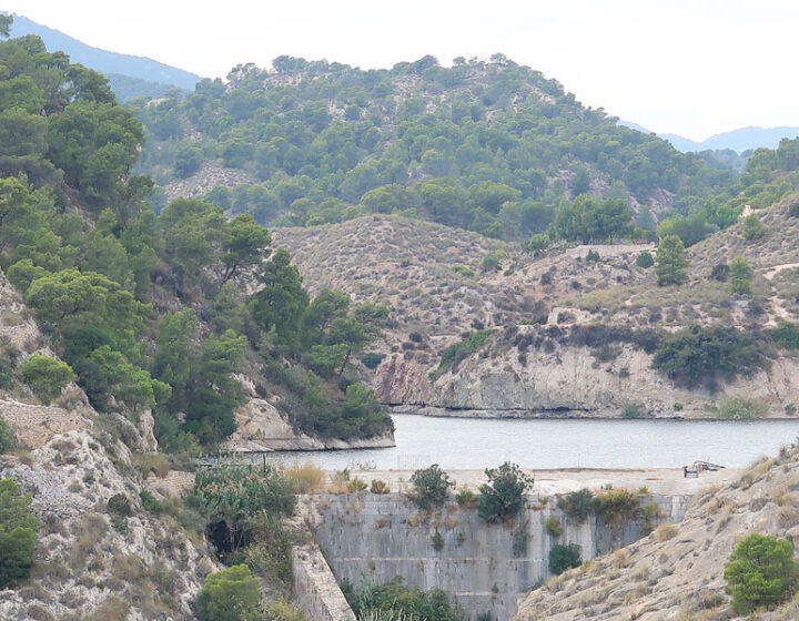 Pantano de Tibi