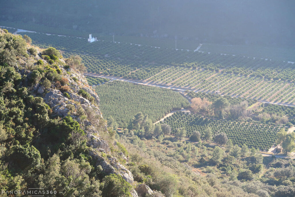 Monte y naranjos en el Vall de la Casella