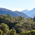 Senderismo en Villajoyosa. PR CV-437. Vuelta al Cantal