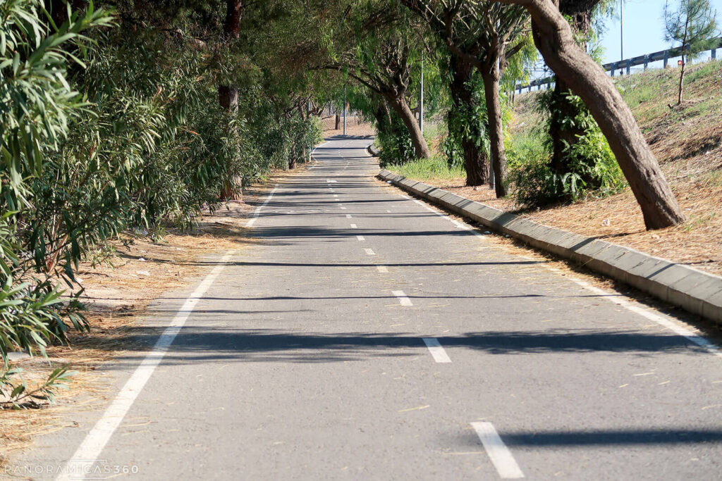 Carril bici en la ciudad de Alicante