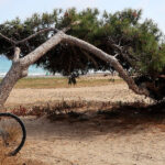 Ruta en bicicleta gravel por los espacios naturales de Santa Pola