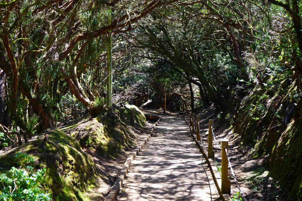 Parque Anaga