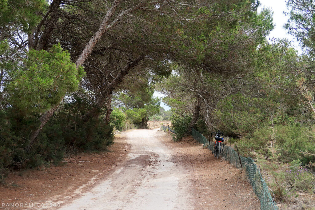 Camí Vell de sa Mola