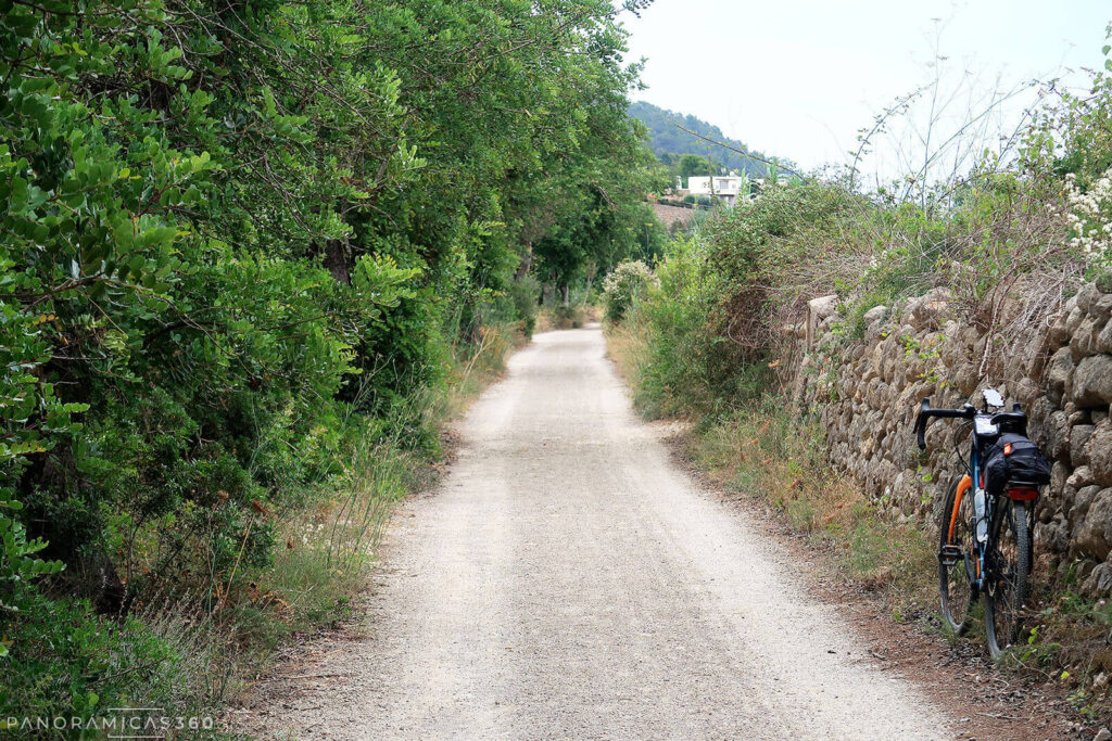 Camino en la proximidades de Sant Vicent