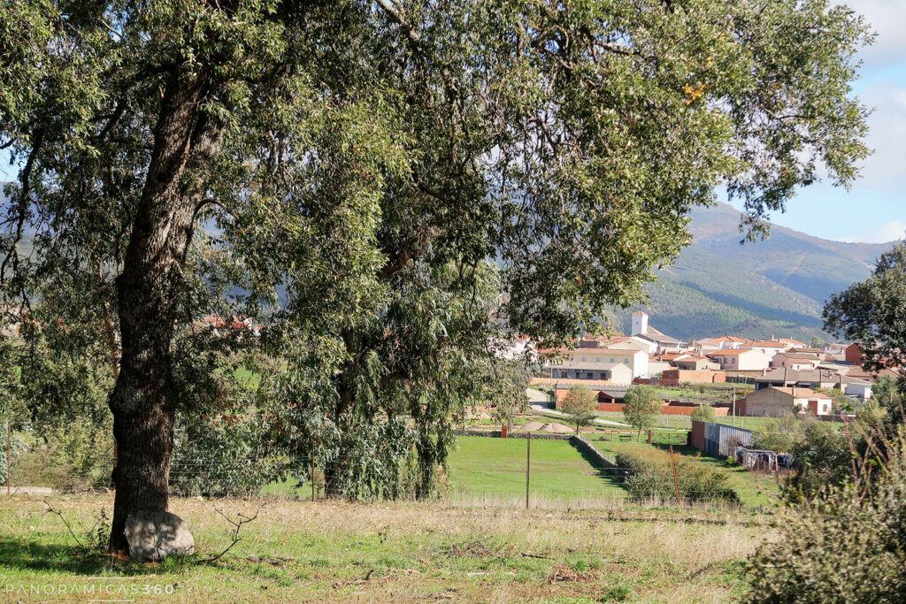 Navas de Estena