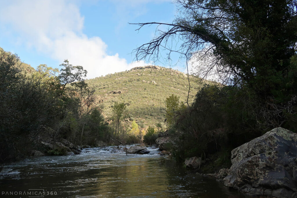 Río Estena