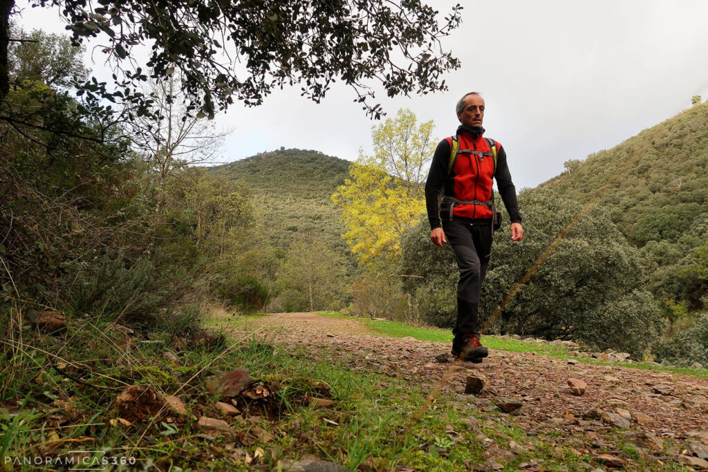 Camino en la Ruta del Boquerón del Estena