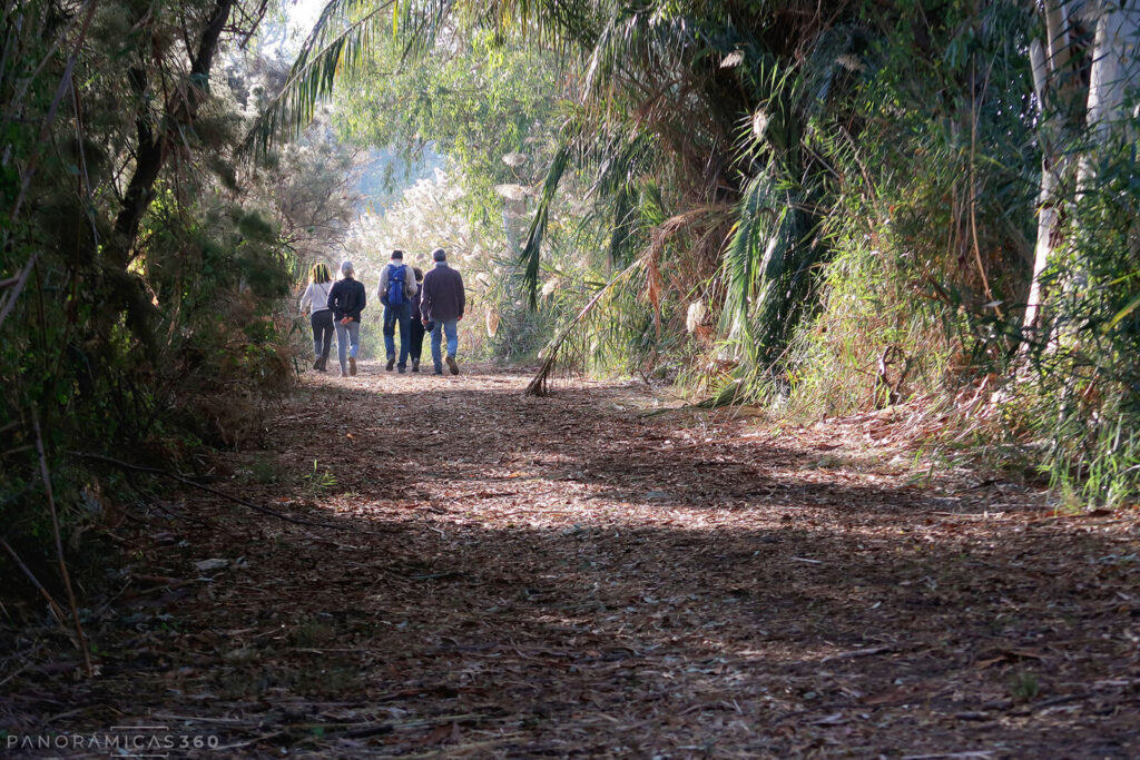 Camino en el Parque Natural de El Hondo