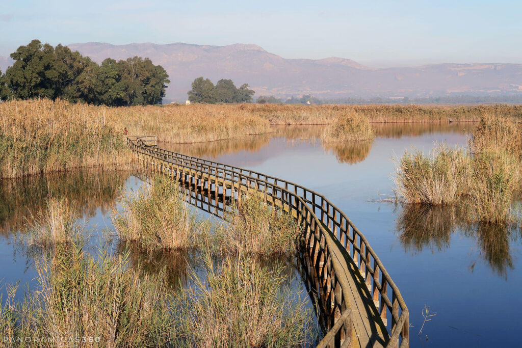Pasarela sobre el agua del embalse