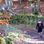 Dos rutas senderistas en la Sierra de Béjar
