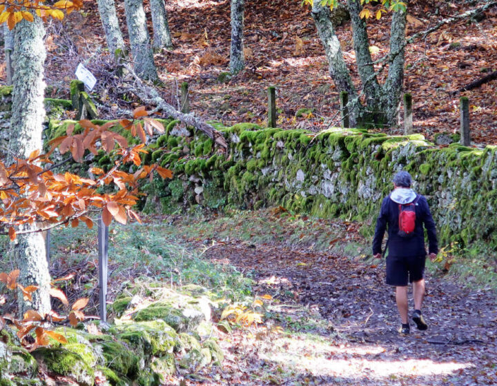Senderista caminando por la Sierra de Béjar