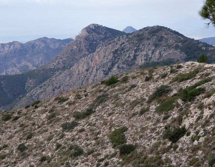 Sierra de Crevillente