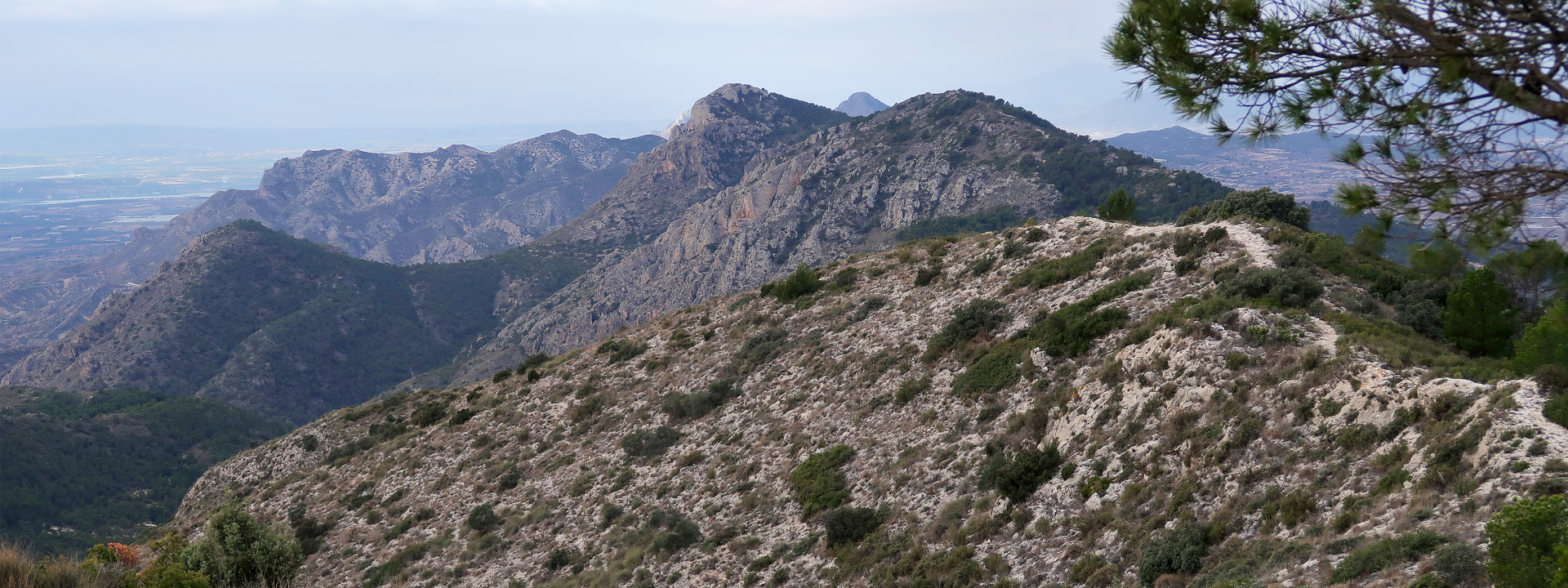 Sierra de Crevillente