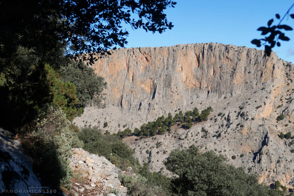 Paredes de Leiva