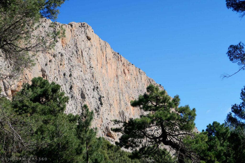 Paredes de Leiva
