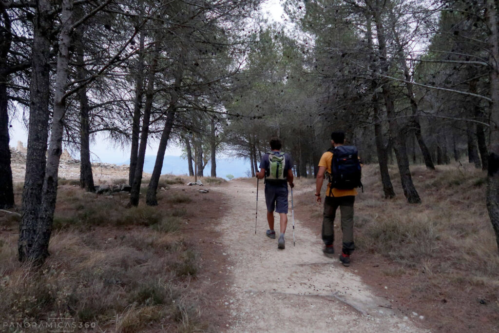 En las proximidades del Mas de Llopis