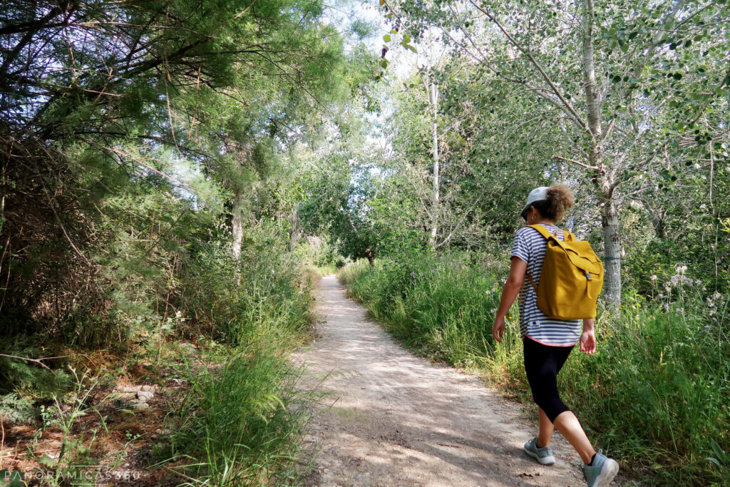 Inicio del camino junto a la ribera del río Algar