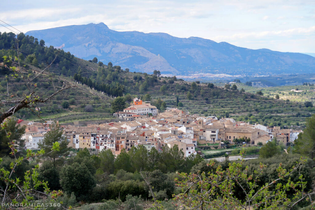 Alcoleja