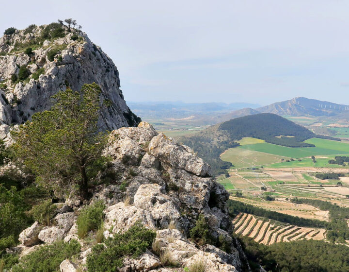 Cresta del Capurutxo