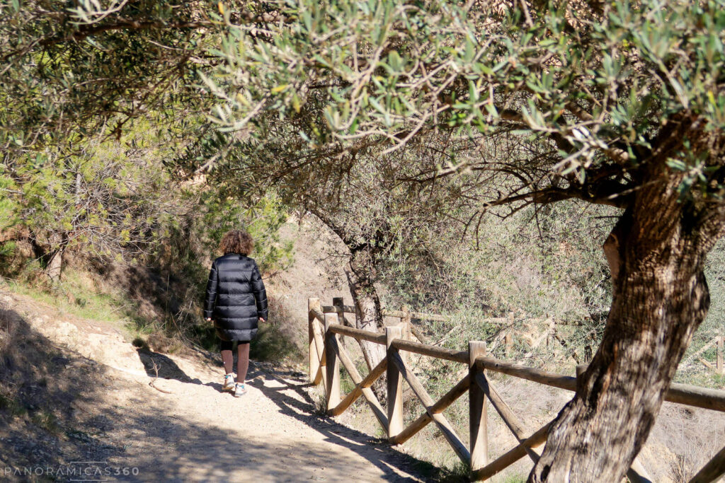 Entorno del Salto del Usero