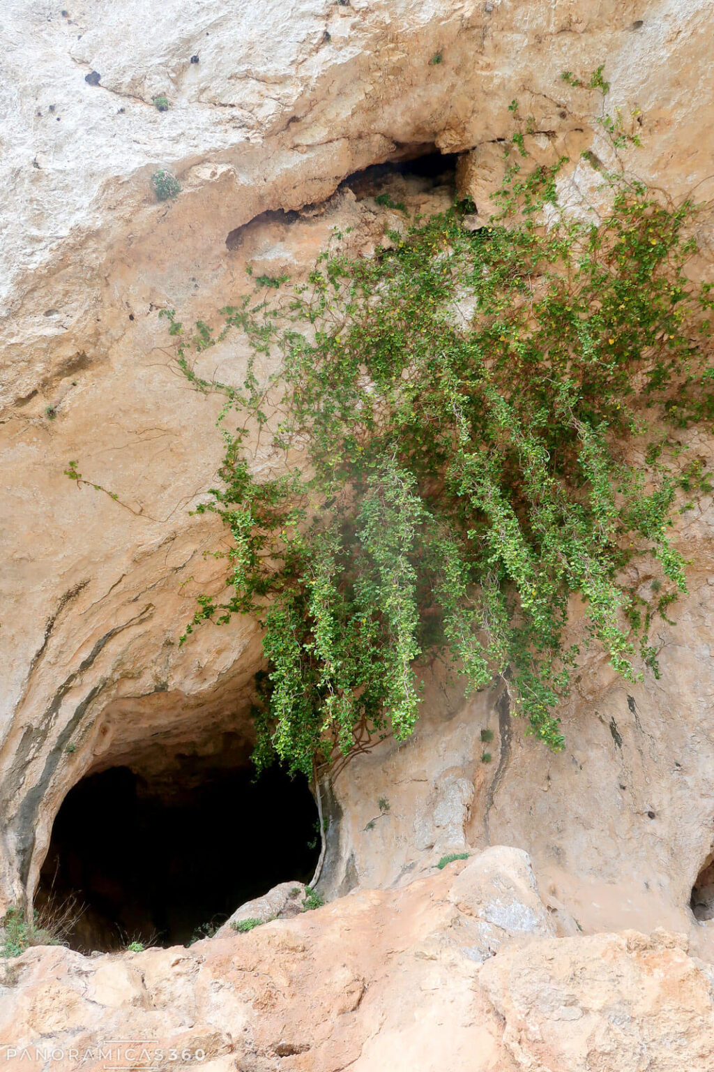 Entrada a la cueva