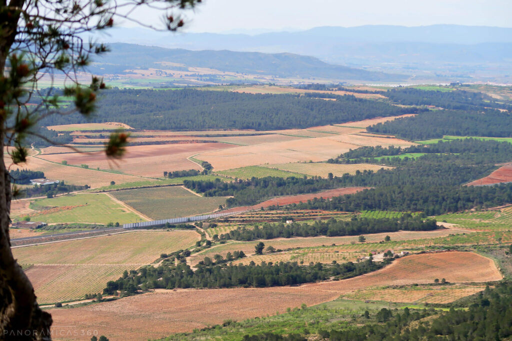 Llanura, el principio de La Mancha, aunque mirando hacia Alicante